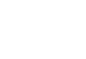 Alternate Text